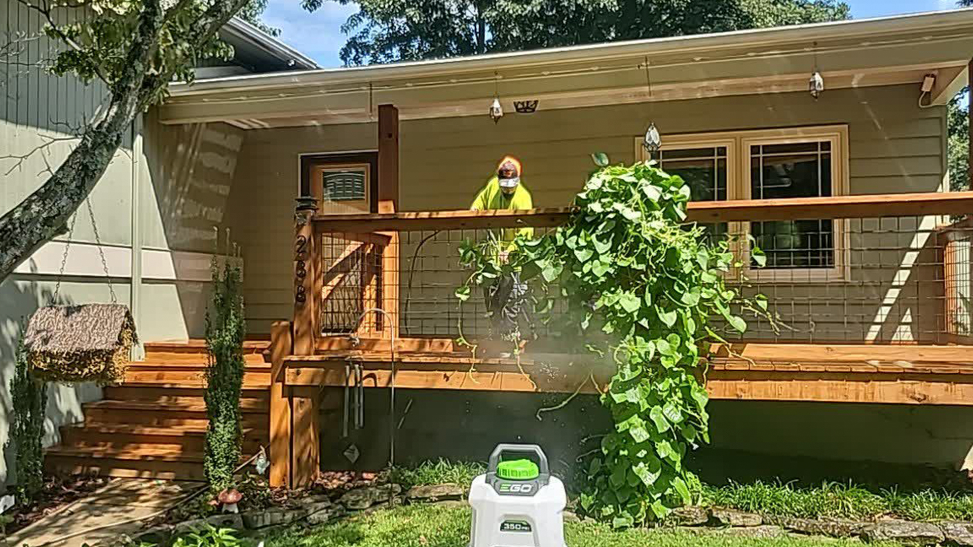 Welcome to Panda Painting WNC